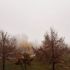 In ufficio, assediato dalla nebbia...