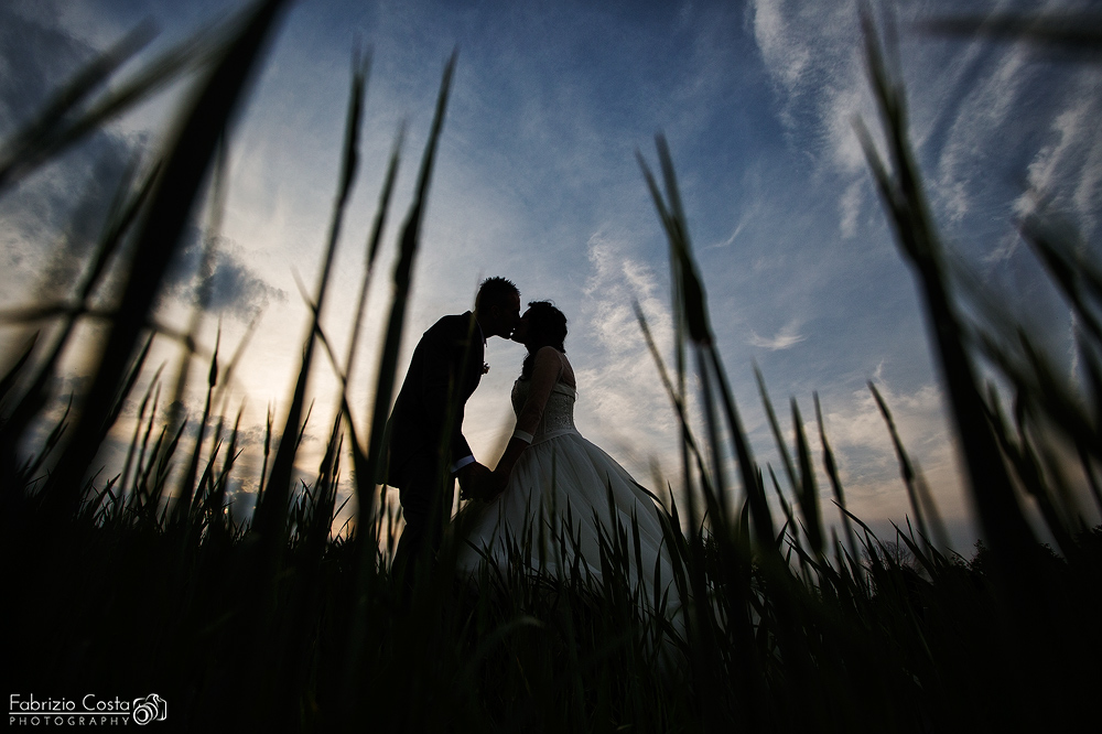 In un campo di grano