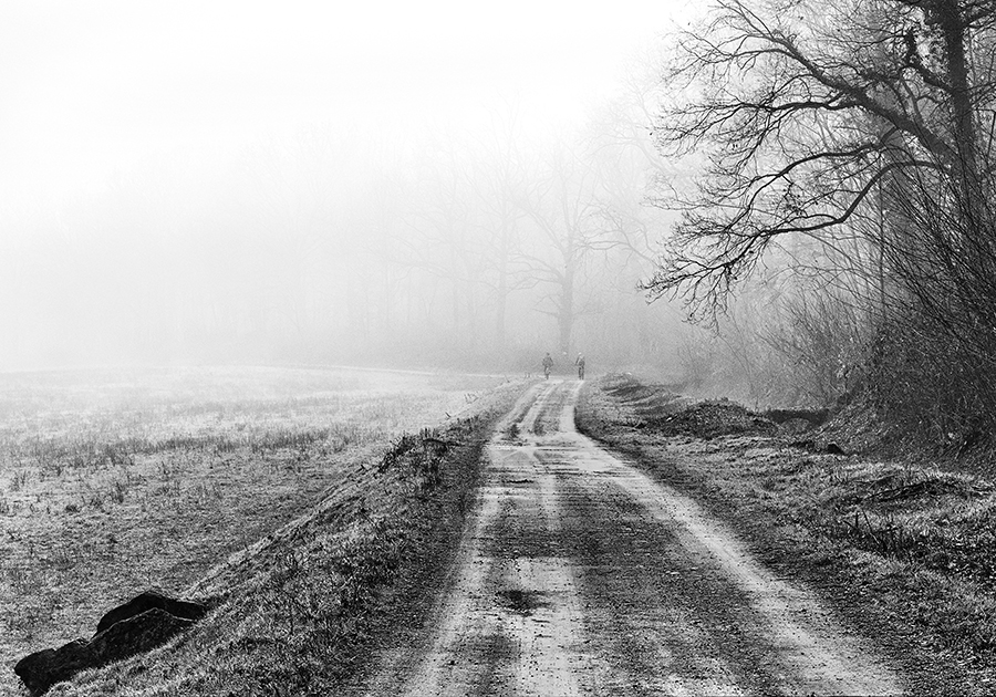 IN UN GIORNO DI NEBBIA