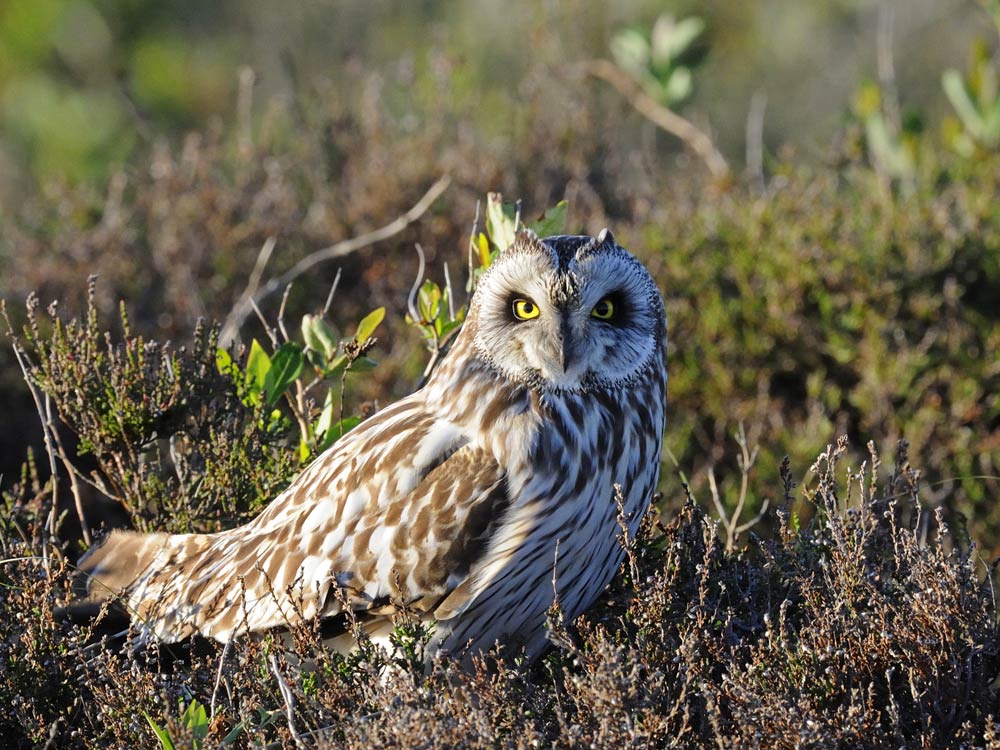 In unberührter Natur