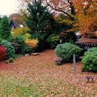 In unserem Garten hab ich im Herbst ...