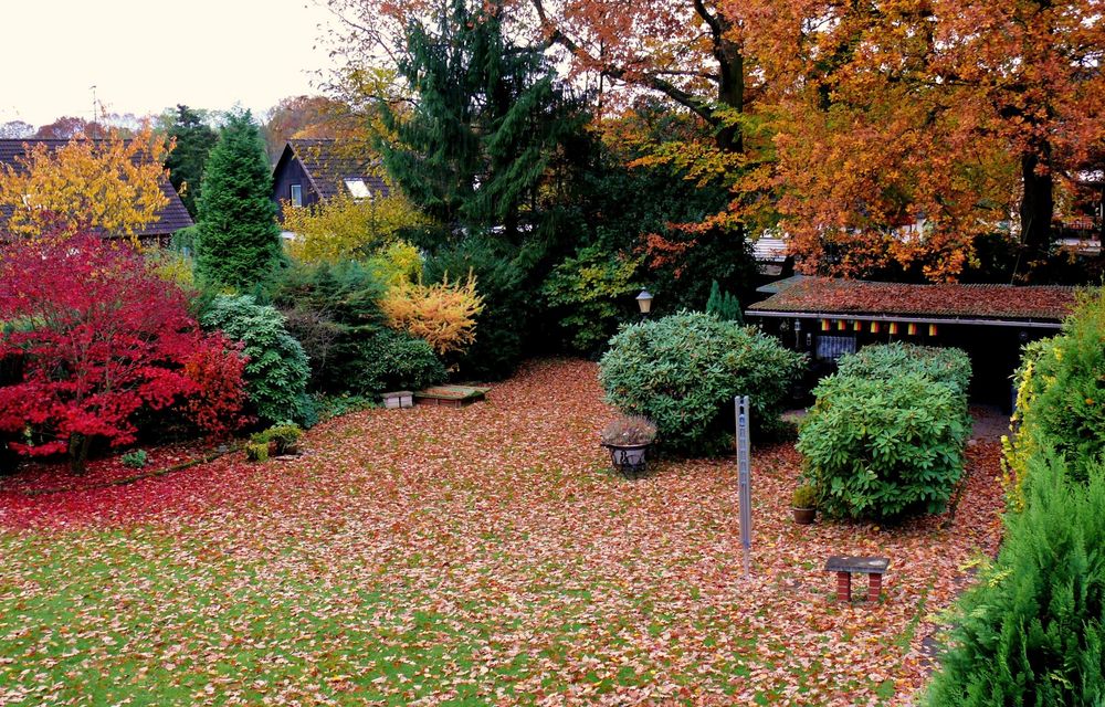 In unserem Garten hab ich im Herbst ...