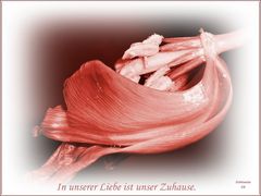 In unserer Liebe ...