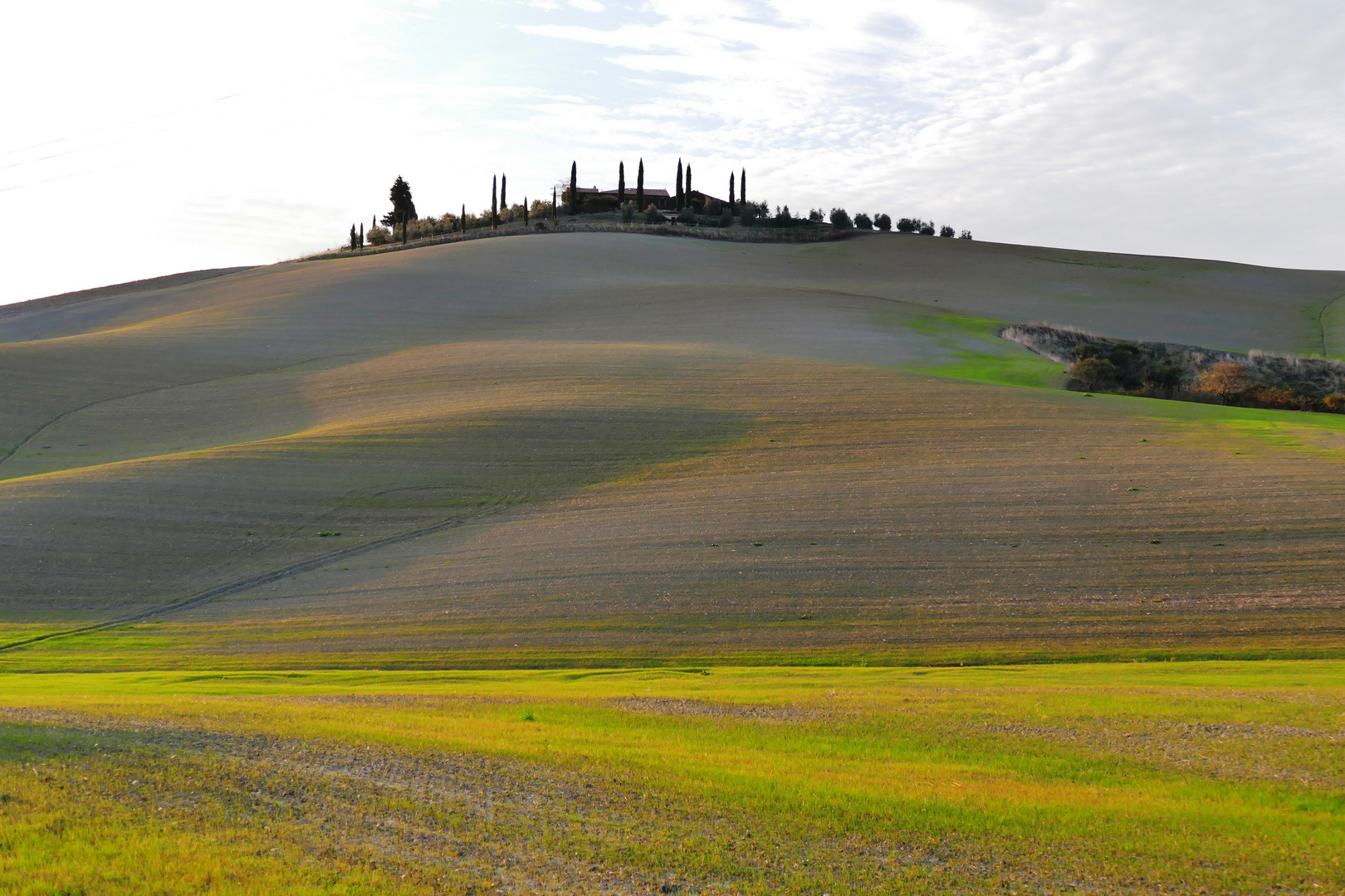 In Val d'Orcia #2