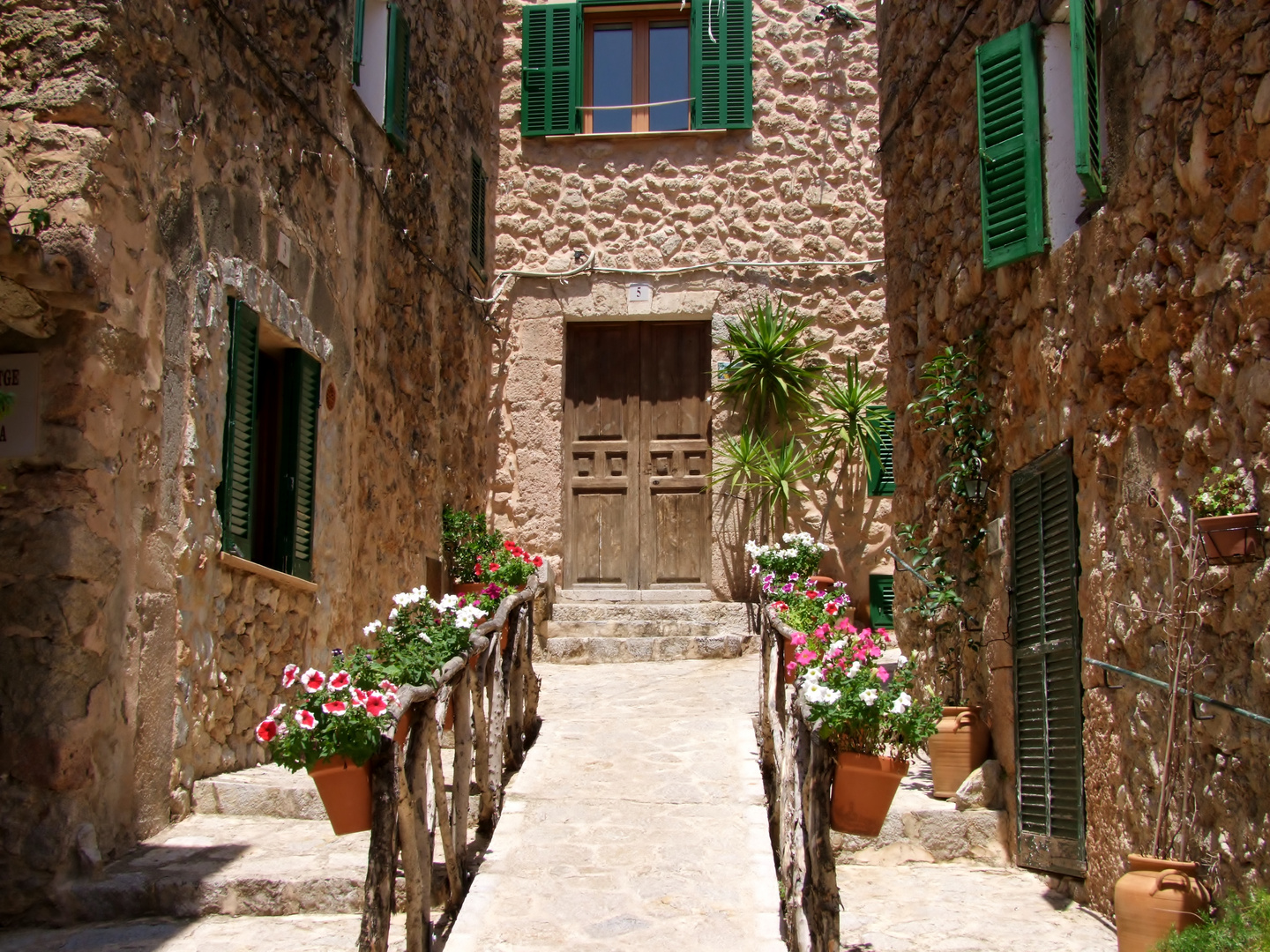 in Valldemossa