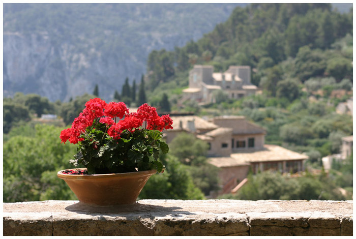 In Valldemossa