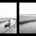 IN VALLE A COMACCHIO NEL 1970: VOLETE PESCE FRESCO? (1796)