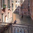 In Venedig ~