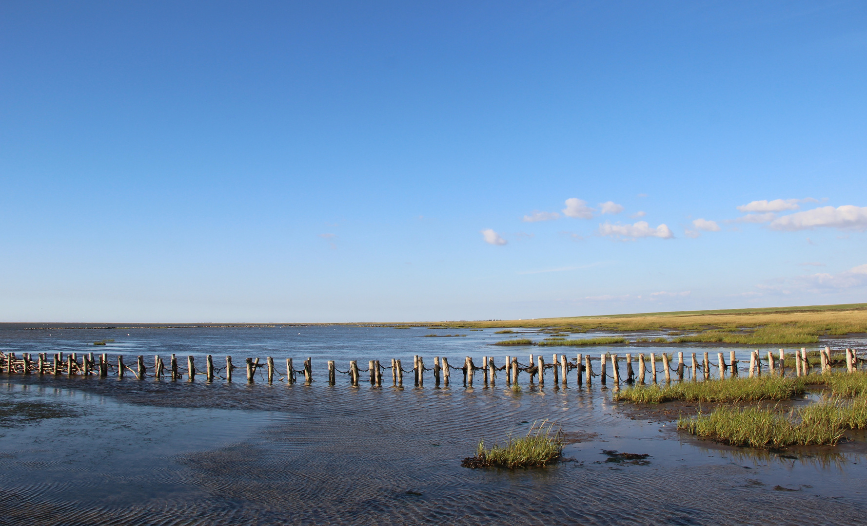 in Vester Vedsted/DK an der Nordsee...