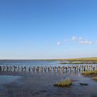 in Vester Vedsted/DK an der Nordsee...