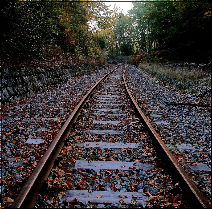 in viaggio verso l'autunno