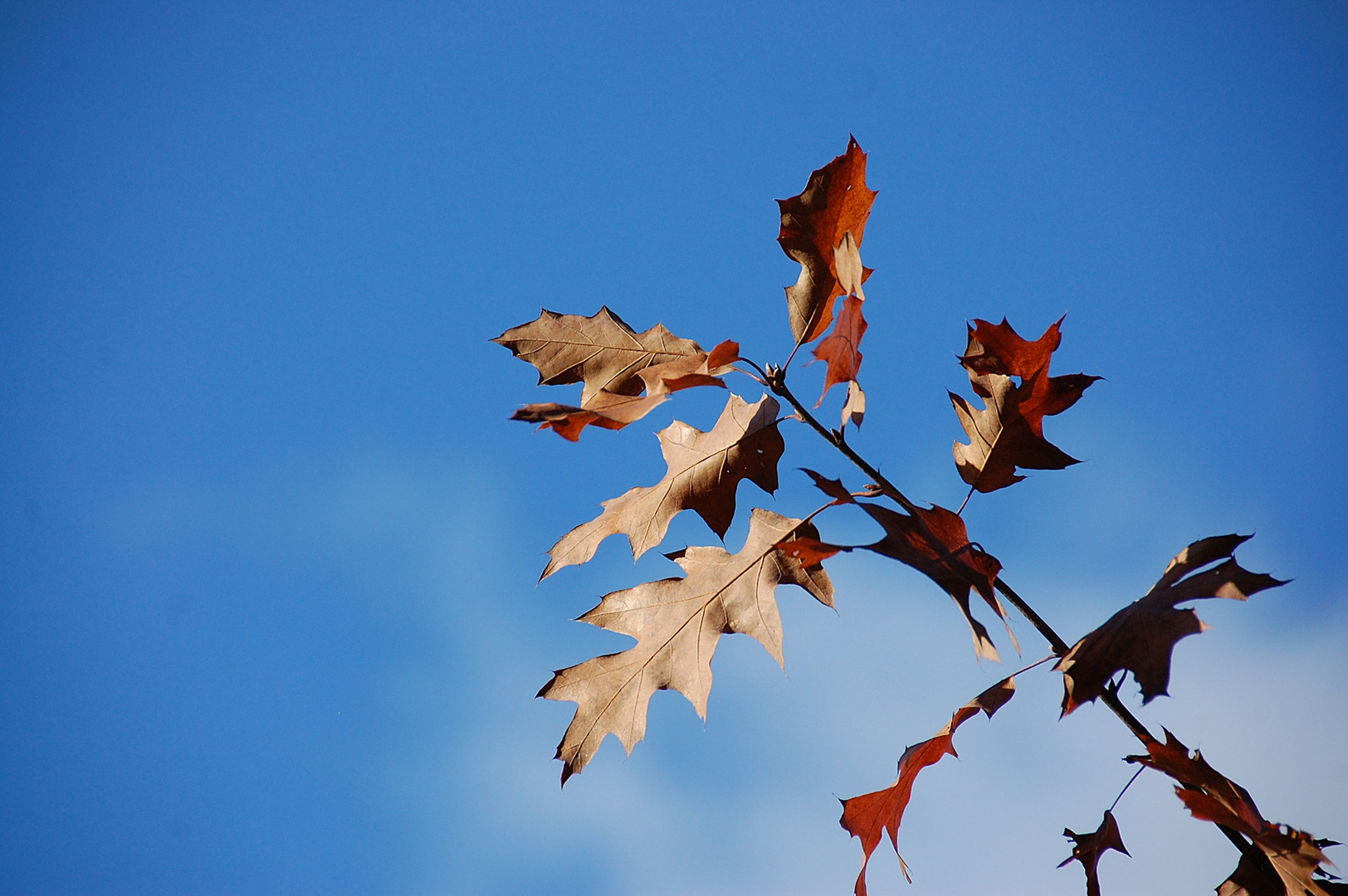 in vier Monaten ist wieder  Frühling -