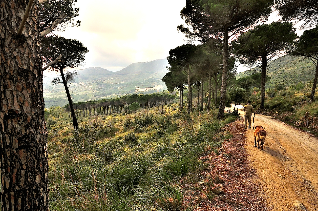 In view of the Abbey. (San
