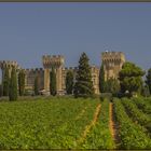 In vino veritas - Châteauneuf-du-Pape