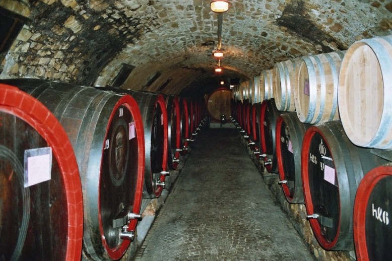 In Vino Veritas II