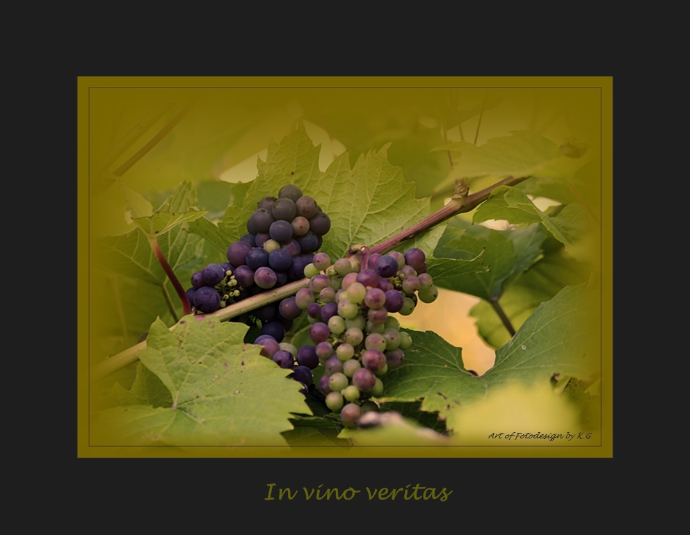 „In vino veritas – Im Wein liegt Wahrheit.“