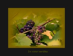 „In vino veritas – Im Wein liegt Wahrheit.“