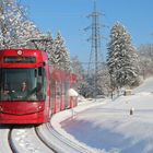 in voller fahrt durch das winterwunderland