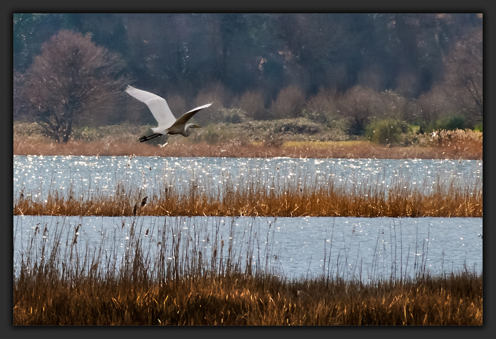 In volo