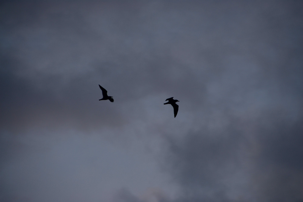 in volo di giovanni ravida' 