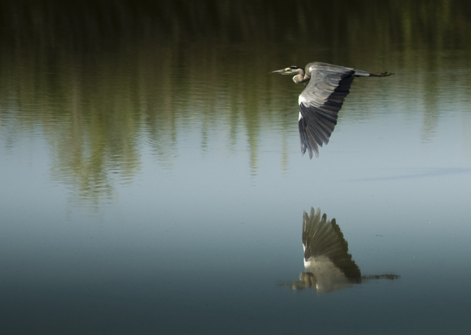 in volo