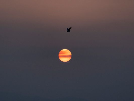 In volo al tramonto