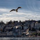 In volo su Lugano