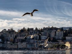 In volo su Lugano