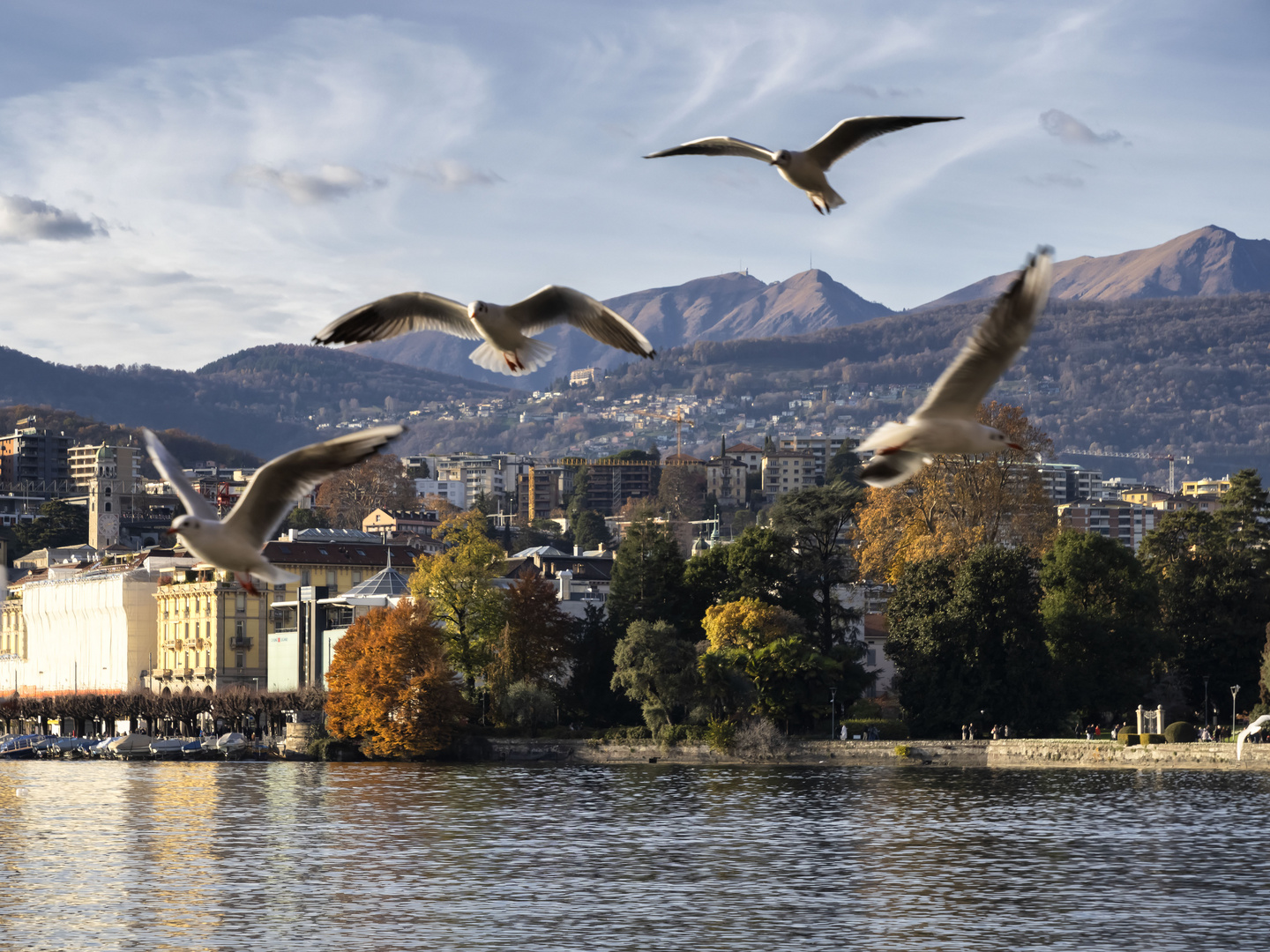 In volo su Lugano