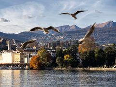 In volo su Lugano