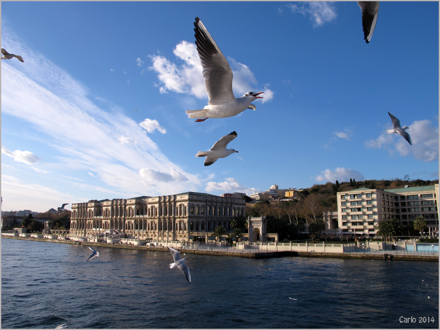 In volo sul Bosforo