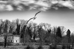 In volo sul fiume Adda