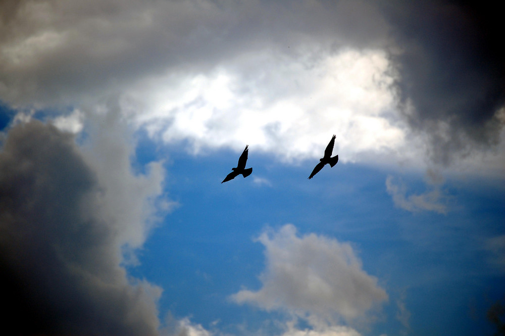 in volo tra le nuvole