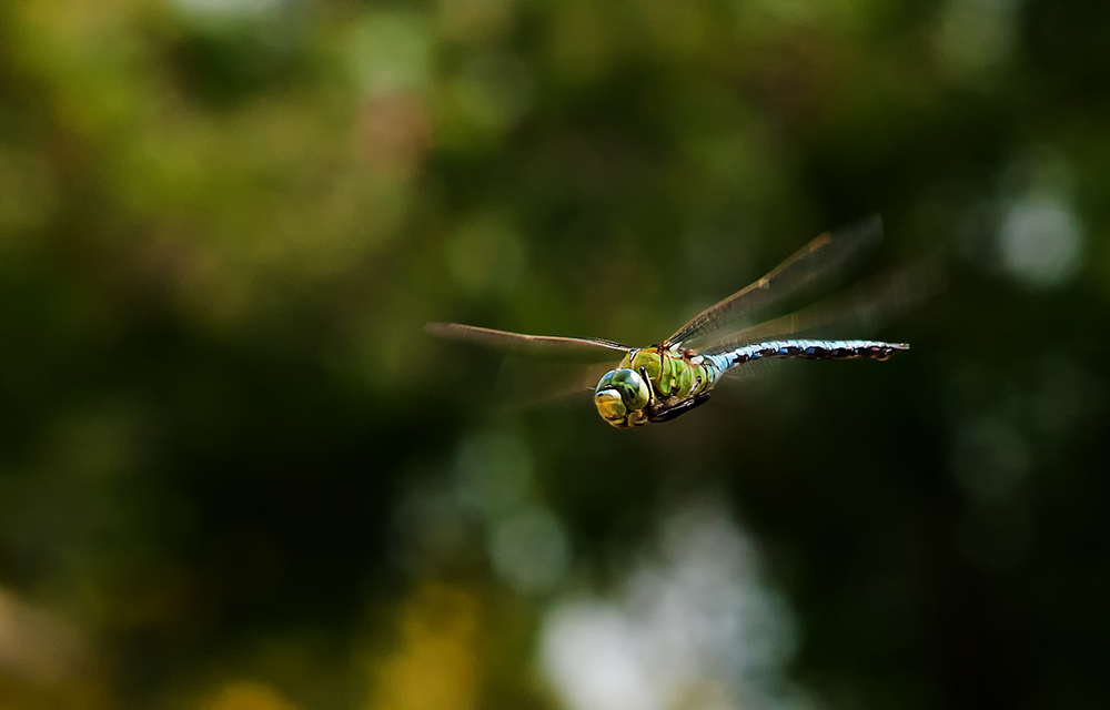 In volo...al volo 2