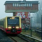 IN WAHNSINNIGER SCHRITTGESCHWINDIGKEIT SCHOSSEN DIE ZÜGE DURCH DEN HARMLOSEN NEBEL...