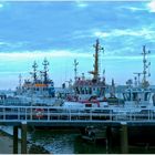 In Warteposition, Tugs im Scheurhaven / Calandkanal / Rotterdam