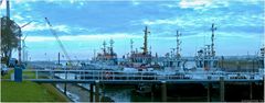 In Warteposition, Tugs im Scheurhaven / Calandkanal / Rotterdam