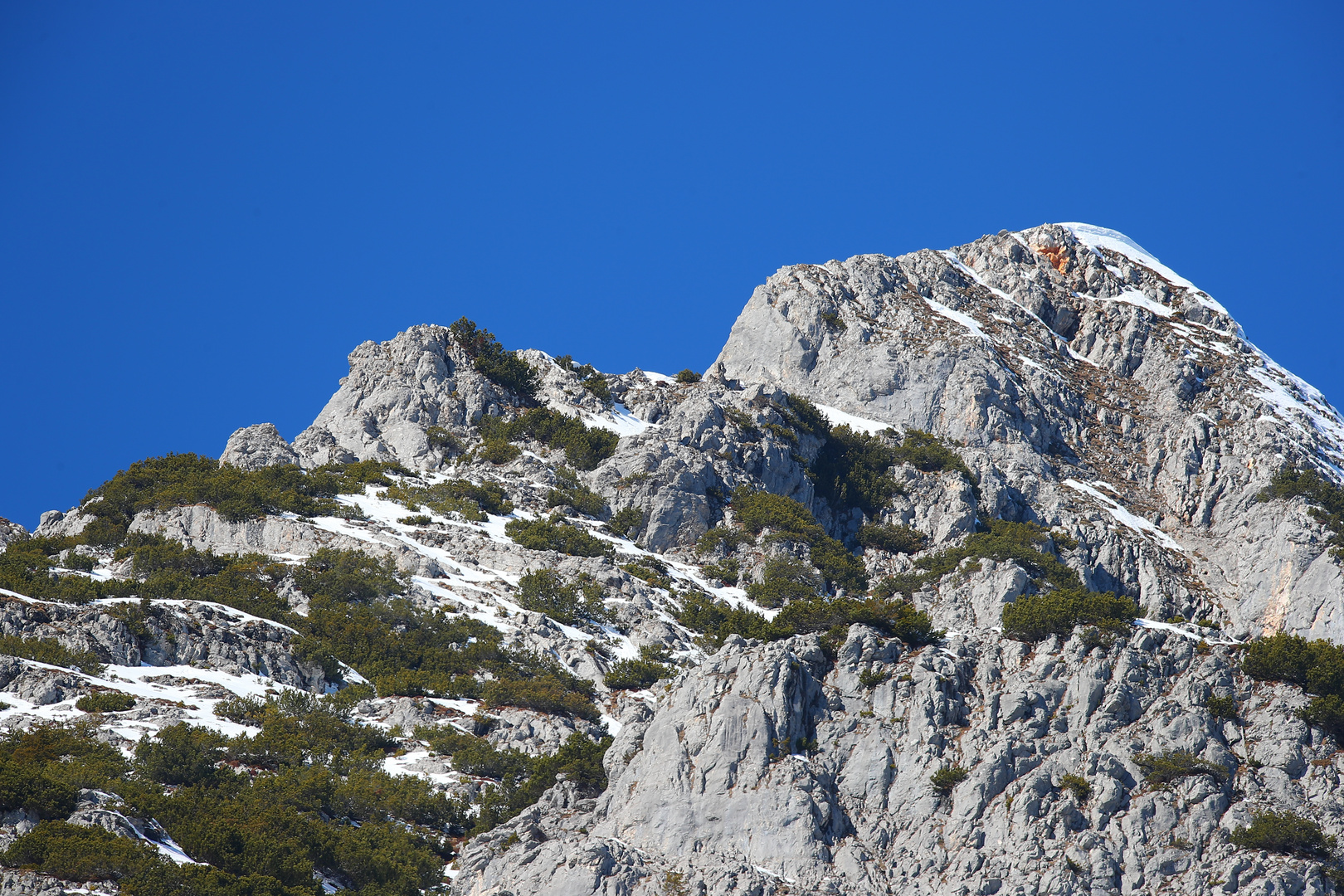 In Weidach Foto & Bild fotos, world, winter Bilder auf