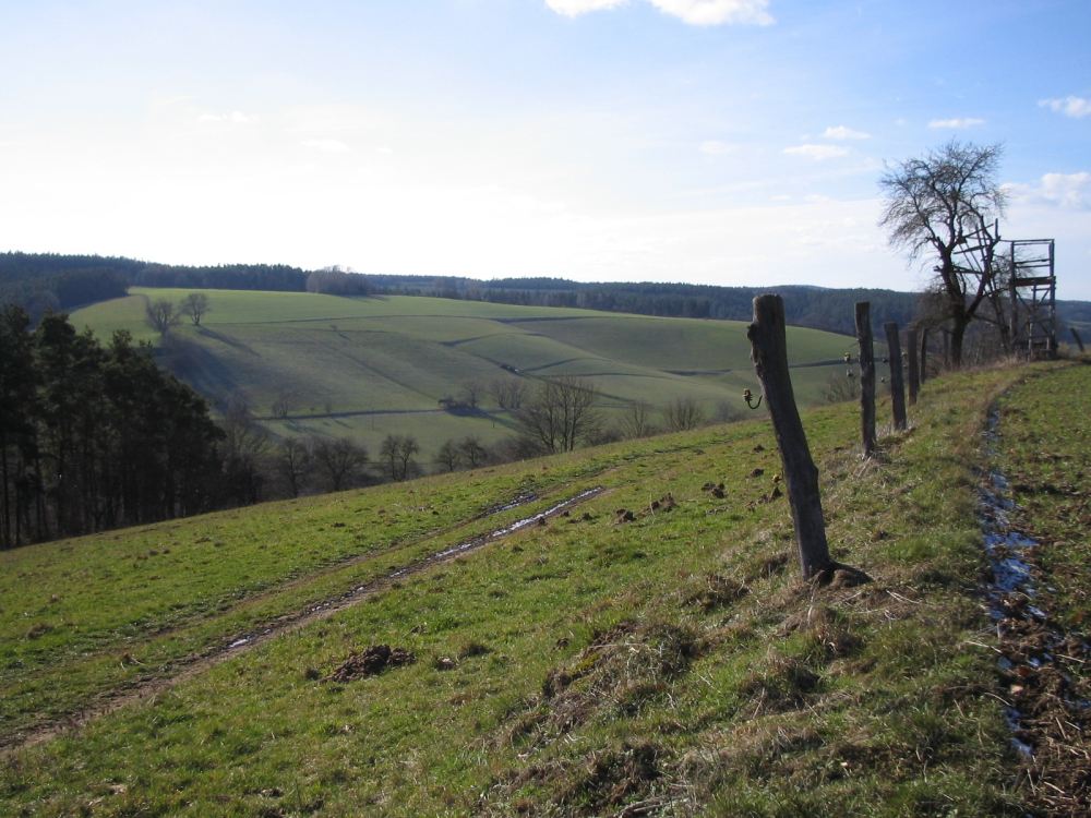 In Wellen gegossene Wiesenfelder