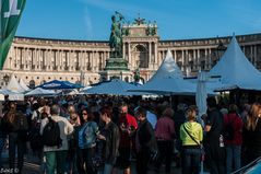 In Wien ist was los!   - Waldviertel pur!