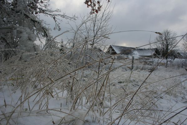 In winter 1