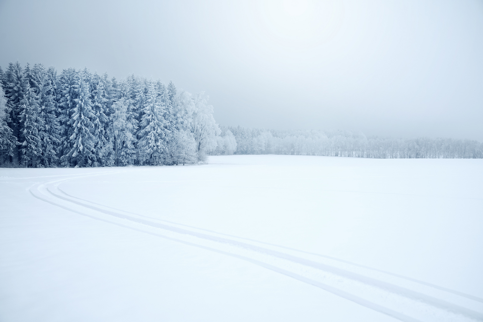 In Winter gehüllt 