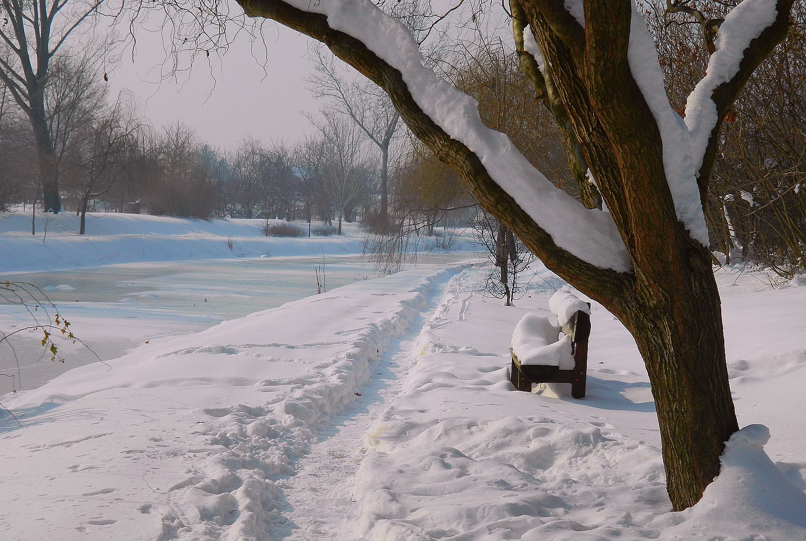 In winter, the walking trail