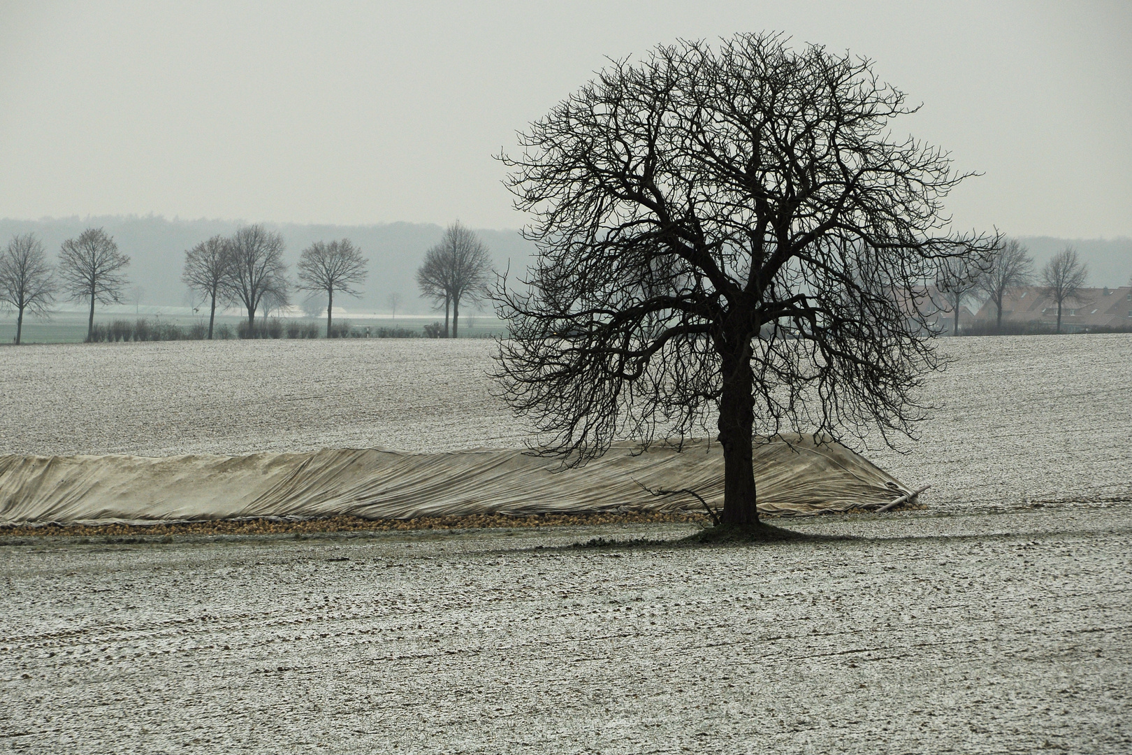 in winterlicher Ruhe