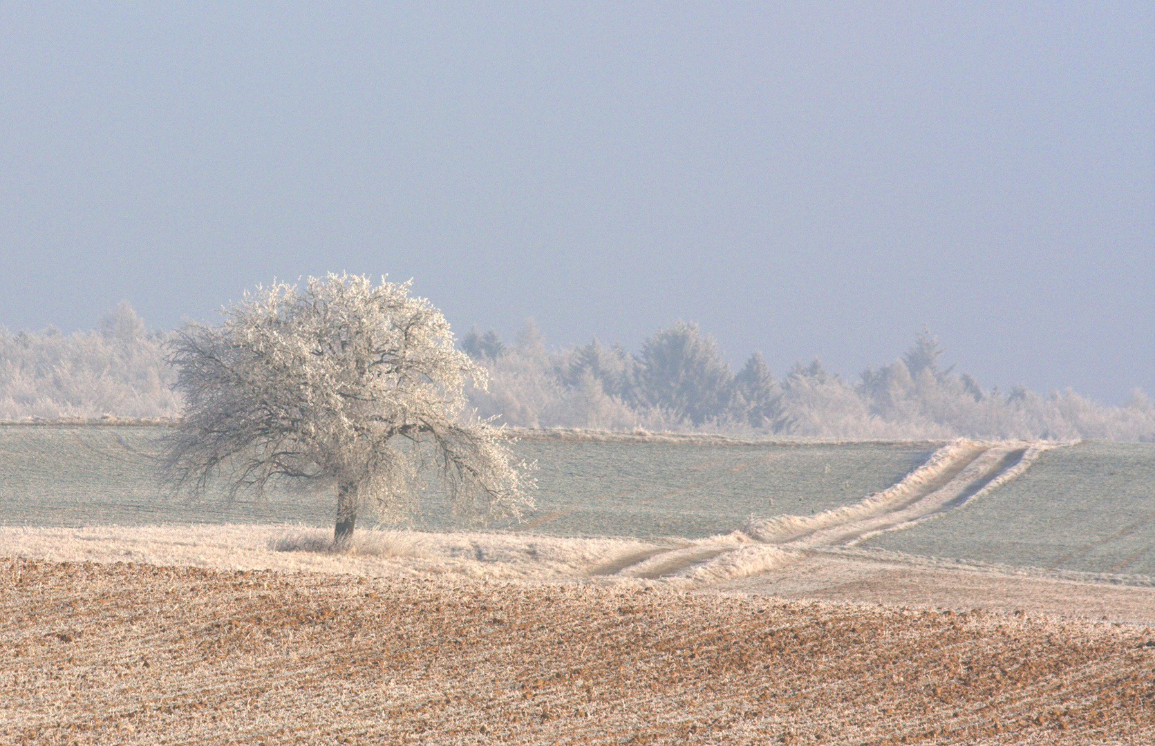 In winterlicher Zeit...