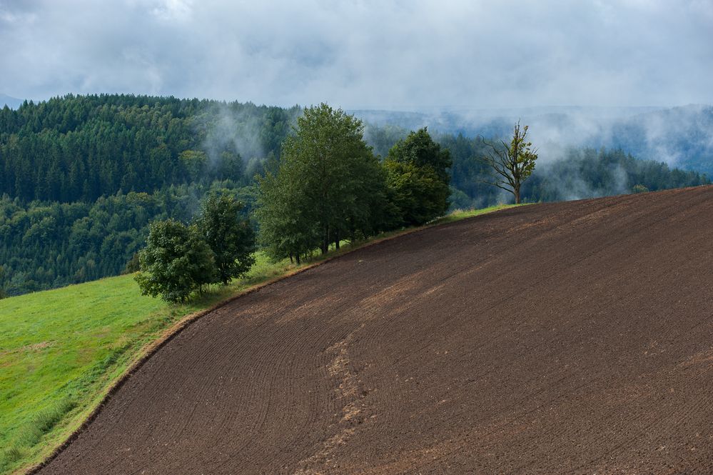 In Wolken gehüllt