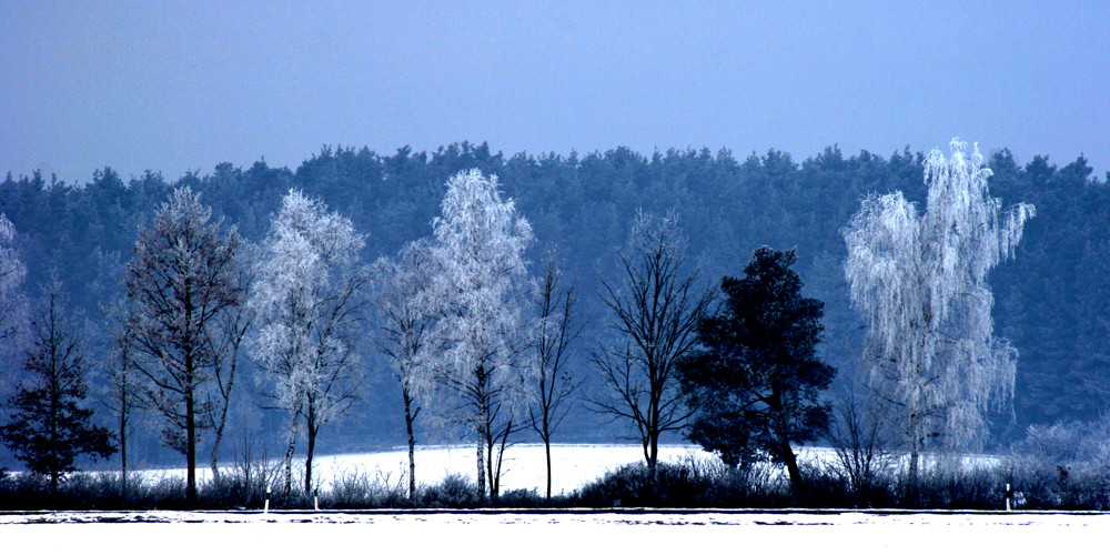 In Würde ergraut