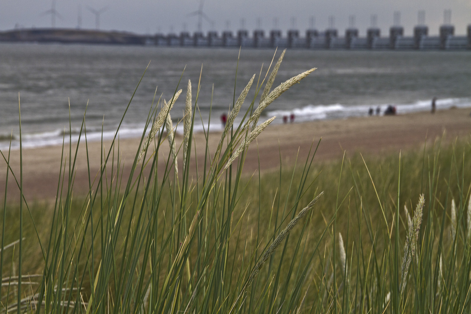 In Zeeland am Meer - 16