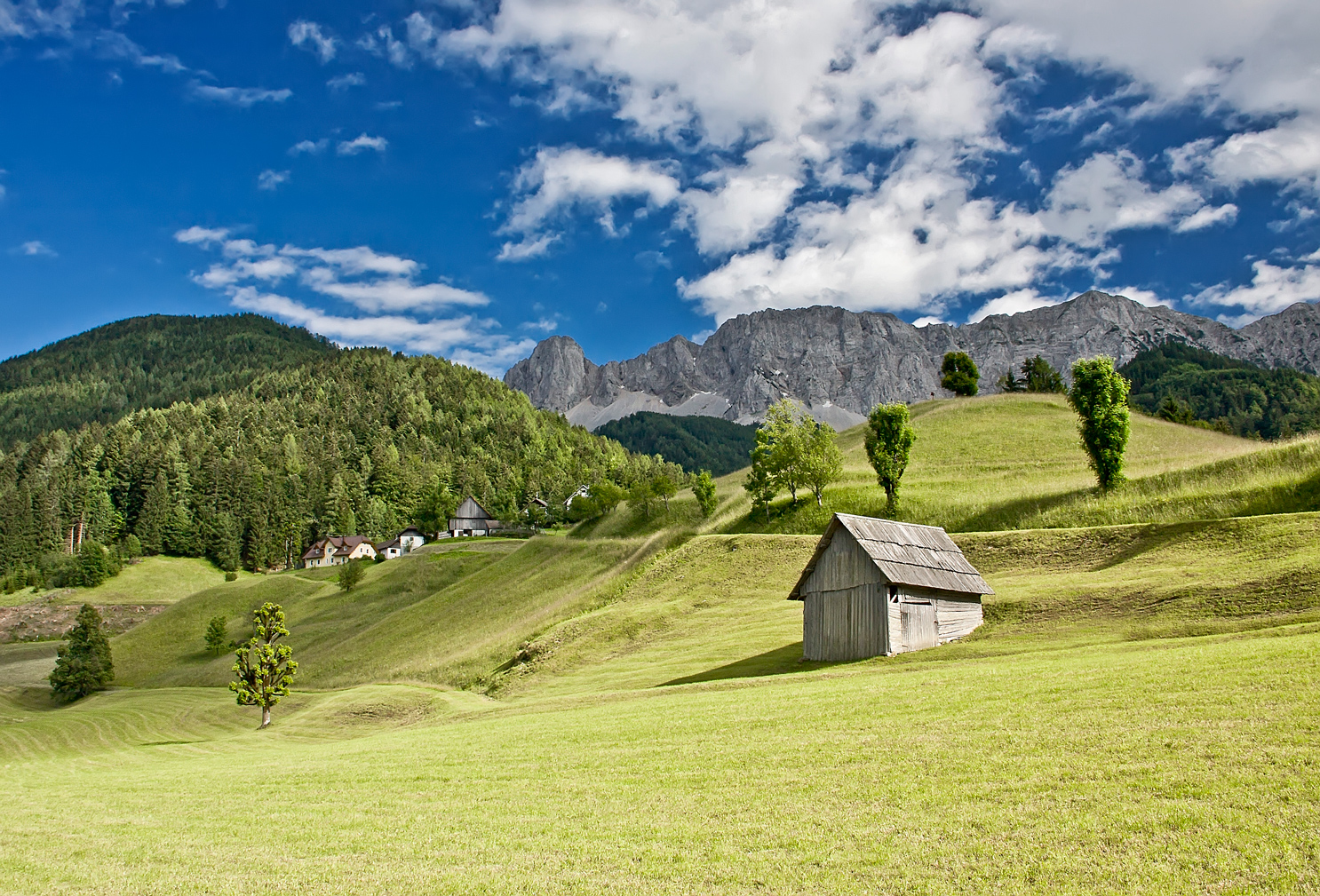 In Zell - Sele