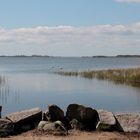 In Zempin am Achterwasser